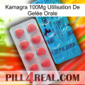 Kamagra 100Mg Utilisation De Gelée Orale new14